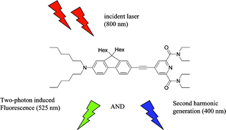 Graphical abstract: Synthesis of chromophores combining second harmonic generation and two photon induced fluorescence properties