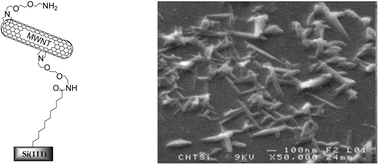 Graphical abstract: Carbon nanotube-functionalized silicon surfaces with efficient redox communication
