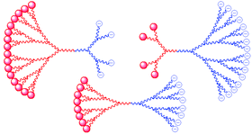 Graphical abstract: Design of tailored multi-charged phosphorus surface-block dendrimers