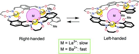 Graphical abstract: Guest-dependent inversion rate of a tetranuclear single metallohelicate