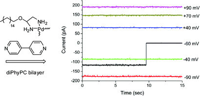 Graphical abstract: Long-lived and highly conducting ion channels formed by lipophilic ethylenediamine palladium(ii) complexes