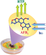 Graphical abstract: Direct and rapid discrimination of aflatoxigenic strains based on fibre-optic room temperature phosphorescence detection