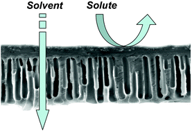 Graphical abstract: Solvent resistant nanofiltration: separating on a molecular level