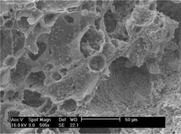 Graphical abstract: Zeolitisation of pumice—microporous materials on macroporous support structures derived from natural materials