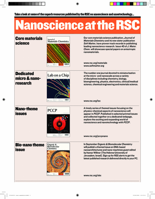 Nanoscience at the RSC