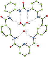 Graphical abstract: Anion-binding modes in a macrocyclic amidourea