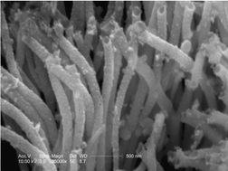 Graphical abstract: Plasma-aided template synthesis of inorganic nanotubes and nanorods