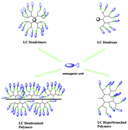 Graphical abstract: Highly congested liquid crystal structures: dendrimers, dendrons, dendronized and hyperbranched polymers