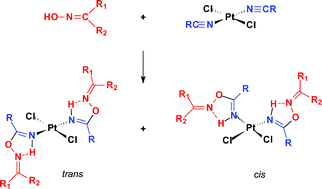 Graphical abstract: Direct synthesis of (imine)platinum(ii) complexes by iminoacylation of ketoximes with activated organonitrile ligands