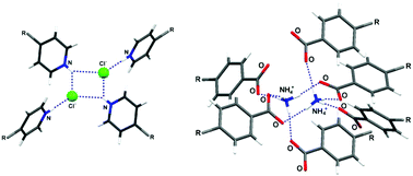 Graphical abstract: Self-assembly of uniquely structured porphyrin network solids by charged N–H⋯Cl and N–H⋯O hydrogen bonds