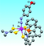 Graphical abstract: Rhenium diazenide ternary complexes with dithiocarbamate ligands: towards new rhenium radiopharmaceuticals