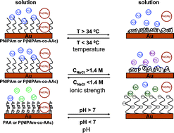 Graphical abstract: Temperature, ionic strength and pH induced electrochemical switching of smart polymer interfaces