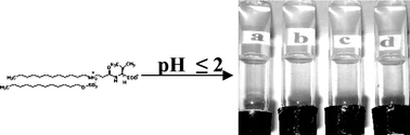 Graphical abstract: A supramolecular hydrogel that responds to biologically relevant stimuli