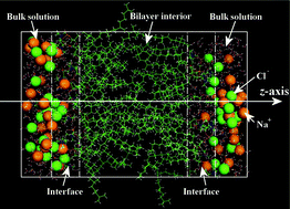 Graphical abstract: Molecular dynamics simulation of an archaeal lipid bilayer with sodium chloride