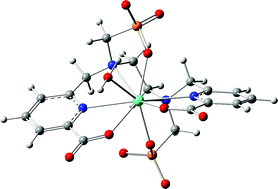 Graphical abstract: Pyridine and phosphonate containing ligands for stable lanthanide complexation. An experimental and theoretical study to assess the solution structure