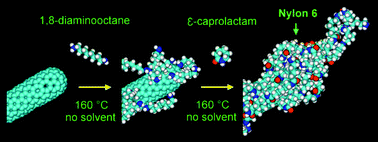 Graphical abstract: ‘Green’ derivatization of carbon nanotubes with Nylon 6 and l-alanine