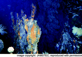 Graphical abstract: Supercritical water: a fascinating medium for soft matter