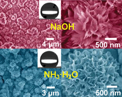 Graphical abstract: Hierarchical nanostructures of cupric oxide on a copper substrate: controllable morphology and wettability