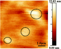 Graphical abstract: Localized electropolymerization on oxidized boron-doped diamond electrodes modified with pyrrolyl units