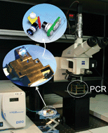 Graphical abstract: An integrated fluorescence detection system for lab-on-a-chip applications