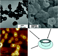 Graphical abstract: Photochemical synthesis of crown-shaped platinum nanoparticles using aggregates of G4-NH2 PAMAM dendrimer as templates