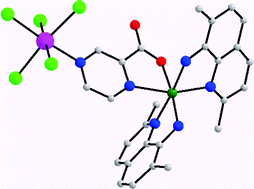 Graphical abstract: Magnetic properties and molecular structures of binuclear (2-pyrazinecarboxylate)-bridged complexes containing Re(iv) and M(ii) (M = Co, Ni)