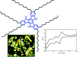 Graphical abstract: Electroactive C3 symmetric discotic liquid-crystalline triindoles