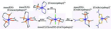 Graphical abstract: Preparation and characterization of mixed-ligand cobalt(iii) complexes containing (3-aminopropyl)dimethylphosphine (pdmp). Conformation of the six-membered pdmp chelate ring