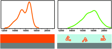 Graphical abstract: Photoluminescence spectra of a conjugated polymer: from films and solutions to single molecules