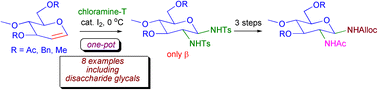 Graphical abstract: Iodine catalyzed one-pot diamination of glycals with chloramine-T: a new approach to 2-amino-β-glycosylamines for applications in N-glycopeptide synthesis