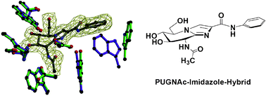 Graphical abstract: Inhibition of O-GlcNAcase by a gluco-configured nagstatin and a PUGNAc–imidazole hybrid inhibitor