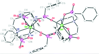 Graphical abstract: Synthesis and characterisation of dimeric eight-coordinate lanthanide(iii) complexes of a macrocyclic tribenzylphosphinate ligand