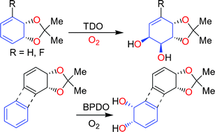 Graphical abstract: Dioxygenase-catalysed dihydroxylation of arene cis-dihydrodiols and acetonide derivatives: a new approach to the synthesis of enantiopure tetraoxygenated bioproducts from arenes