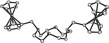 Graphical abstract: An easy route towards regioselectively difunctionalized cyclens and new cryptands