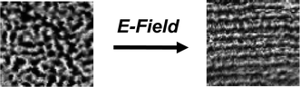 Graphical abstract: Large scale alignment of a lamellar block copolymer thin film via electric fields: a time-resolved SFM study