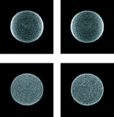 Graphical abstract: The photodissociation dynamics of O2 at 193 nm: an O(3PJ) angular momentum polarization study