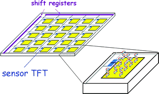 Graphical abstract: Chemical and biological sensors using polycrystalline silicon TFTs