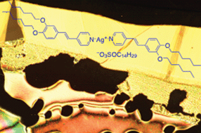 Graphical abstract: Solvent-dependent mesomorphism of polycatenar silver(i) complexes in organic solvents