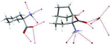 Graphical abstract: Organic crystal hydrates: what are the important factors for formation