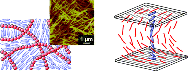 Graphical abstract: Liquid-crystalline physical gels