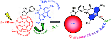 Graphical abstract: Fullerene acting as an electron donor in a donor–acceptor dyad to attain the long-lived charge-separated state by complexation with scandium ion