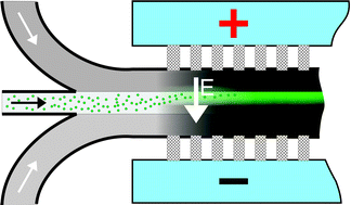 Graphical abstract: Electrophoretic partitioning of proteins in two-phase microflows