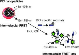 Graphical abstract: Polymeric nanoparticles for protein kinase activity