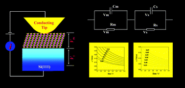 Graphical abstract: Theoretical analysis of the potential distribution and transportation behavior of the ordered alkyl monolayer–silicon junction