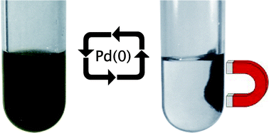 Graphical abstract: Superparamagnetic nanoparticle-supported palladium: a highly stable magnetically recoverable and reusable catalyst for hydrogenation reactions