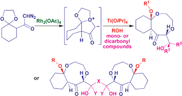 Graphical abstract: Multicomponent reactions involving tricyclooxonium ylide intermediate: diastereoselective synthesis of mono- and bisalkoxyoctahydro-1,4-benzodioxocin-6(5H)-one frameworks