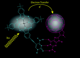 Graphical abstract: Photophysical characterization of a cytidine–guanosine tethered phthalocyanine–fullerene dyad
