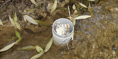 Graphical abstract: A low cost method to estimate dissolved reactive phosphorus loads of rivers and streams