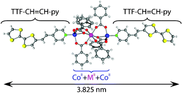 Graphical abstract: First trinuclear paramagnetic transition metal complexes with redox active ligands derived from TTF: Co2M(PhCOO)6(TTF-CH [[double bond, length as m-dash]] CH-py)2·2CH3CN, M = CoII, MnII