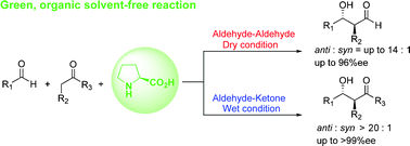 Graphical abstract: Dry and wet prolines for asymmetric organic solvent-free aldehyde–aldehyde and aldehyde–ketone aldol reactions